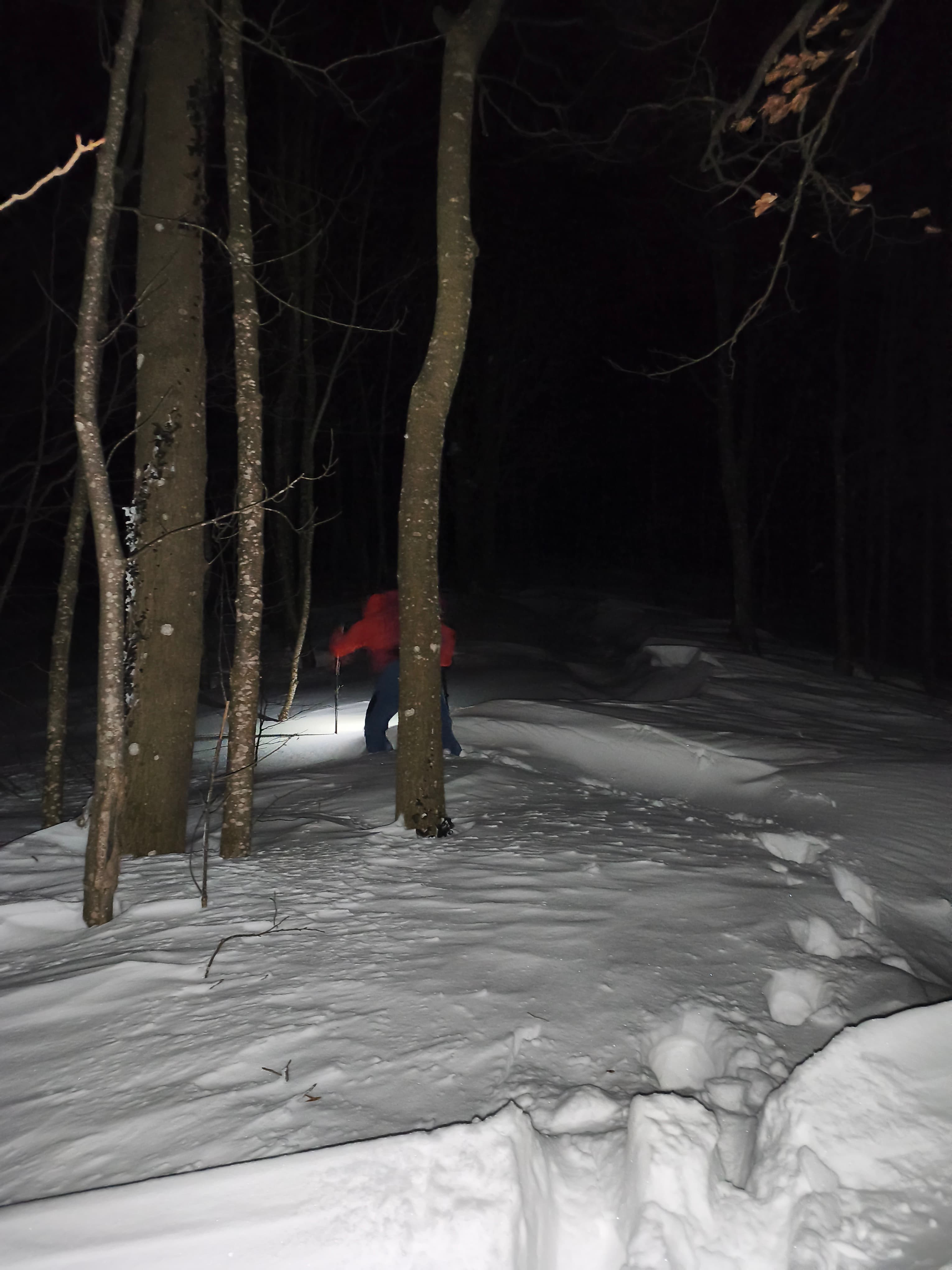 Cover Image for Zalutali planinar na Ivanšćici