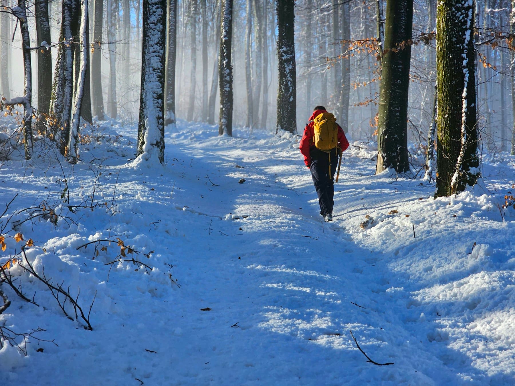 Cover Image for Dvodnevna potraga na području Lužana Biškupečkog